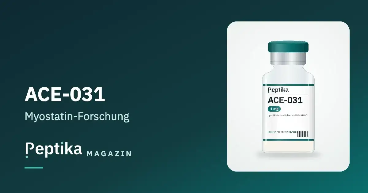 ACE-031 (Ramatercept): Myostatin-Inhibition über ActRIIB-Fc im Forschungsüberblick