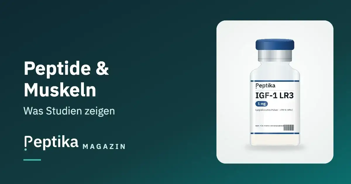 Peptide Muskelaufbau: Substanzen & Forschungsstand