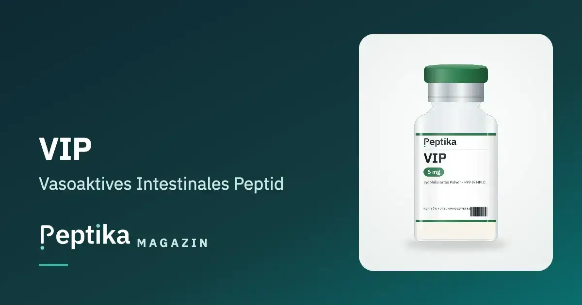VIP (Vasoaktives Intestinales Peptid): VPAC-Rezeptoren und Forschung im Überblick